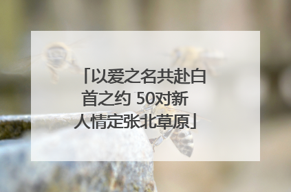 以爱之名共赴白首之约 50对新人情定张北草原