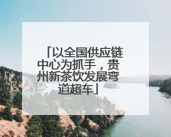 以全国供应链中心为抓手，贵州新茶饮发展弯道超车