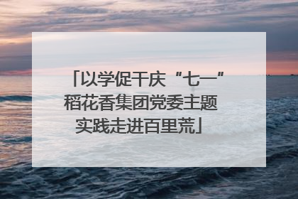 以学促干庆“七一” 稻花香集团党委主题实践走进百里荒
