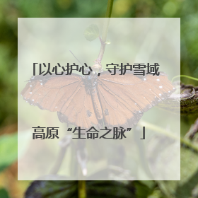 以心护心，守护雪域高原“生命之脉”