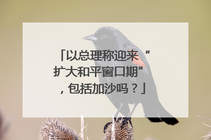以总理称迎来“扩大和平窗口期”，包括加沙吗？