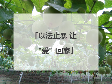 以法止暴 让“爱”回家