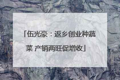 伍光豪：返乡创业种蔬菜 产销两旺促增收