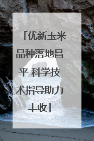 优新玉米品种落地昌平 科学技术指导助力丰收