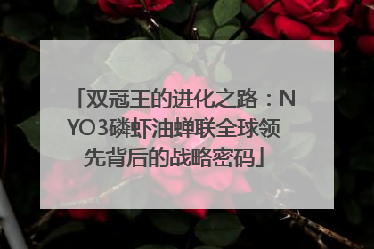 双冠王的进化之路：NYO3磷虾油蝉联全球领先背后的战略密码