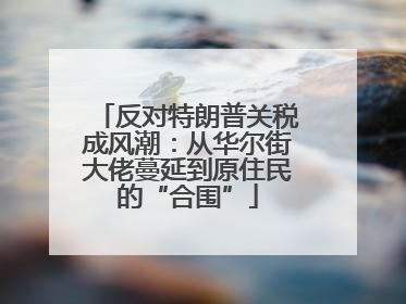 反对特朗普关税成风潮：从华尔街大佬蔓延到原住民的“合围”