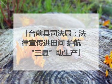 台前县司法局：法律宣传进田间 护航“三夏”助生产