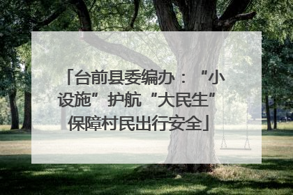 台前县委编办：“小设施”护航“大民生” 保障村民出行安全