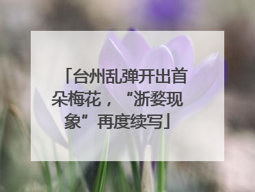 台州乱弹开出首朵梅花，“浙婺现象”再度续写
