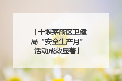 十堰茅箭区卫健局“安全生产月”活动成效显著