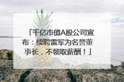 千亿市值A股公司宣布：续聘雷军为名誉董事长，不领取薪酬！