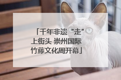 千年非遗“走”上街头 崇州国际竹藤文化周开幕