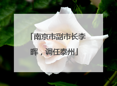 南京市副市长李晖，调任泰州