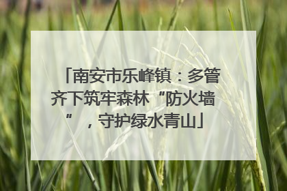 南安市乐峰镇：多管齐下筑牢森林“防火墙”，守护绿水青山