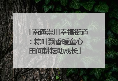 南通崇川幸福街道：粽叶飘香暖童心 田间耕耘助成长