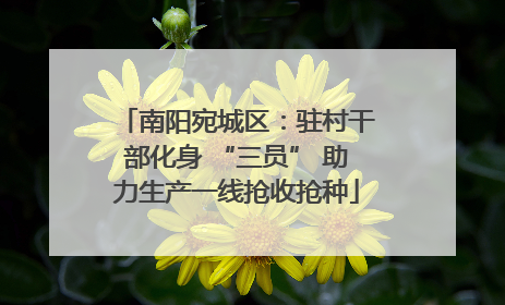南阳宛城区：驻村干部化身 “三员” 助力生产一线抢收抢种