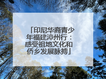 印尼华裔青少年福建漳州行：感受祖地文化和侨乡发展脉搏