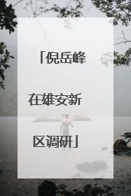 倪岳峰在雄安新区调研