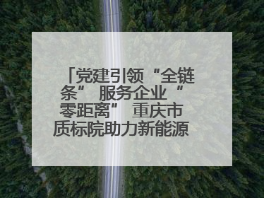 党建引领“全链条” 服务企业“零距离” 重庆市质标院助力新能源汽车产业链提升质量管理水平