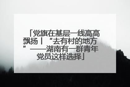 党旗在基层一线高高飘扬丨“去有村的地方”——湖南有一群青年党员这样选择