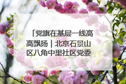 党旗在基层一线高高飘扬｜北京石景山区八角中里社区党委：用脚步丈量民生