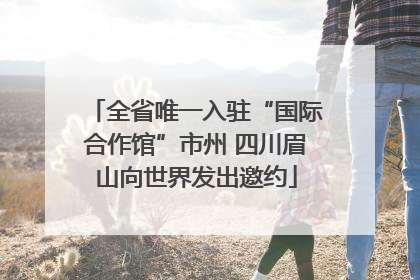 全省唯一入驻“国际合作馆”市州 四川眉山向世界发出邀约