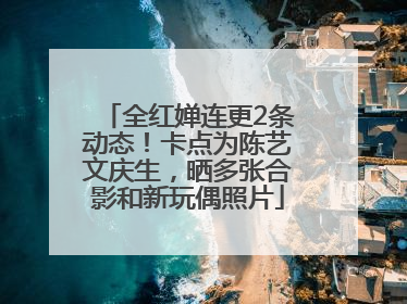 全红婵连更2条动态！卡点为陈艺文庆生，晒多张合影和新玩偶照片