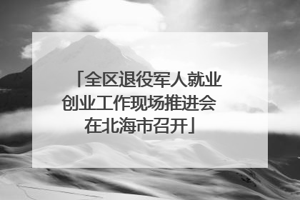 全区退役军人就业创业工作现场推进会在北海市召开