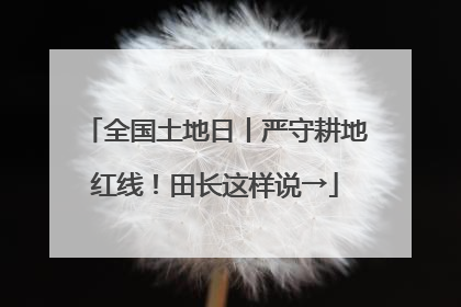 全国土地日丨严守耕地红线！田长这样说→