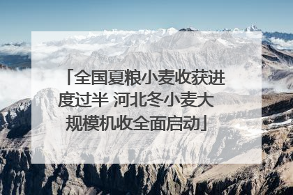 全国夏粮小麦收获进度过半 河北冬小麦大规模机收全面启动