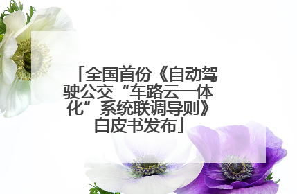 全国首份《自动驾驶公交“车路云一体化”系统联调导则》白皮书发布