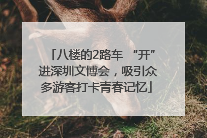 八楼的2路车 “开” 进深圳文博会，吸引众多游客打卡青春记忆