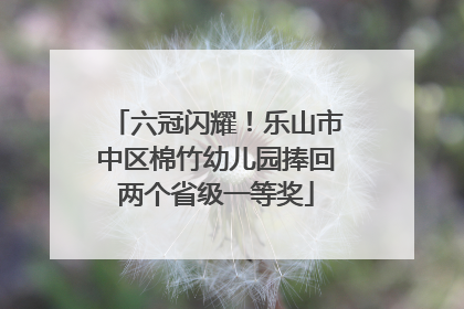 六冠闪耀！乐山市中区棉竹幼儿园捧回两个省级一等奖