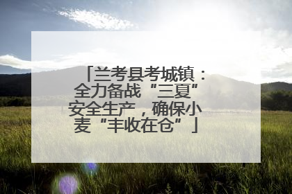 兰考县考城镇：全力备战“三夏”安全生产，确保小麦“丰收在仓”