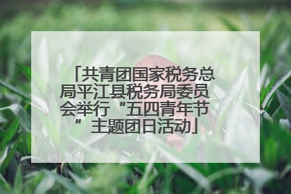 共青团国家税务总局平江县税务局委员会举行“五四青年节”主题团日活动