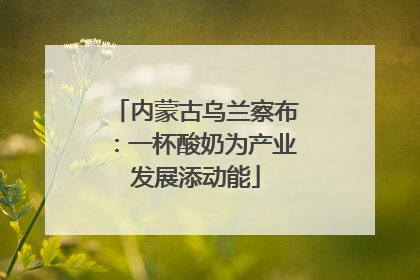 内蒙古乌兰察布：一杯酸奶为产业发展添动能