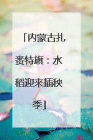内蒙古扎赉特旗：水稻迎来插秧季