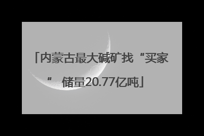 内蒙古最大碱矿找“买家” 储量20.77亿吨