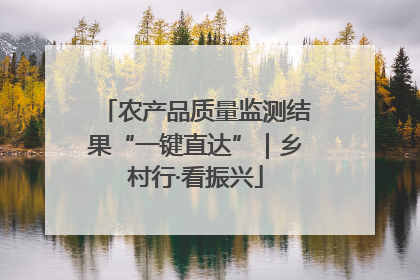 农产品质量监测结果“一键直达”｜乡村行·看振兴