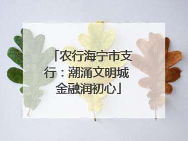 农行海宁市支行：潮涌文明城 金融润初心