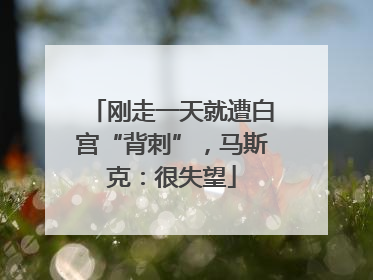 刚走一天就遭白宫“背刺”，马斯克：很失望
