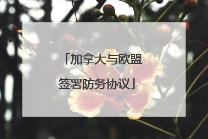 加拿大与欧盟签署防务协议
