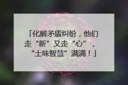 化解矛盾纠纷，他们走“新”又走“心”，“土味智慧”满满！