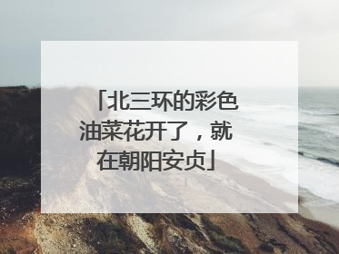 北三环的彩色油菜花开了，就在朝阳安贞