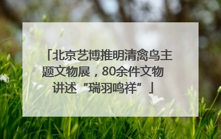 北京艺博推明清禽鸟主题文物展，80余件文物讲述“瑞羽鸣祥”