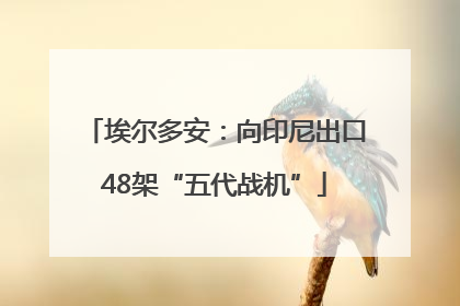 埃尔多安：向印尼出口48架“五代战机”