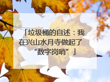 垃圾桶的自述：我在兴山水月寺做起了“数字岗哨”