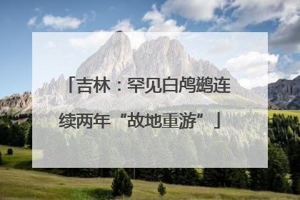 吉林：罕见白鸬鹚连续两年“故地重游”
