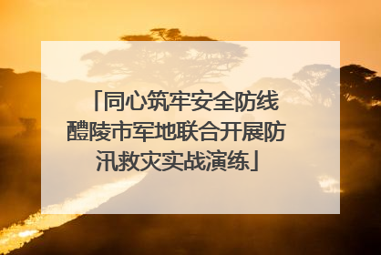 同心筑牢安全防线 醴陵市军地联合开展防汛救灾实战演练