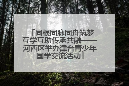 同根同脉同舟筑梦 互学互助传承共融——河西区举办津台青少年国学交流活动
